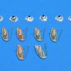 Chevy Molding T-bolt Clips & Nuts, 1 3/8-inch, 1955-1964
