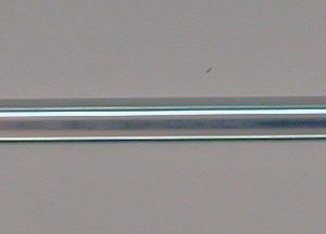 Chevy Door Molding, Right, 210, 2-Door, 1956