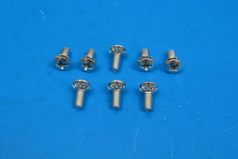 Chevy Door Hinge to Body Screw Set, 19551957